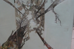 KONICA MINOLTA DIGITAL CAMERA