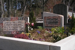 KONICA MINOLTA DIGITAL CAMERA