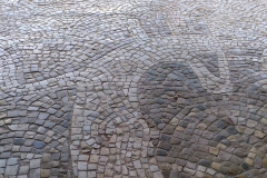 Maison_Arbre_detail_arbre2