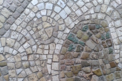 Maison_Arbre_detail_arbre3