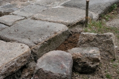 Terrasse_papillon_0169